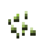 Green Bean Seeds