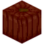 Persimmon Pumpkin