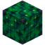 Block Of Uraninite 1x