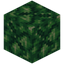 Budding Time Crystal Block