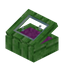 Magenta Green Bioshroom Display Case