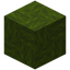 Bundled Green Wool