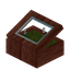 Green Redwood Display Case