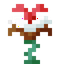 Kekimurus