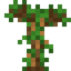 Cinnamon Sapling 