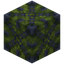 Moss Block 8x