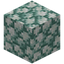Broken Sea Lantern