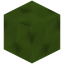 Zane Variant 2