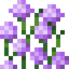Tall Allium