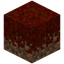 Scorched Grass