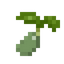 Jute Seed
