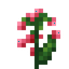 Kovan Flower