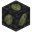 Deepslate Shiny Stone Ore