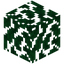Palm Leaves