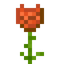 Carnelian Glowrose