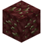 Nether Pyrite Ore