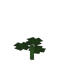 Clover