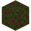Red Moss Block