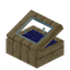 Blue Palm Display Case