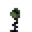 Swamp Rose