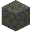Trodden Mossy Stone Bricks