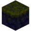 Warped Nylium