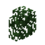 Willow Hedge