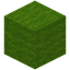 Crafted Lime Wool