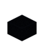 Black Botany Pot