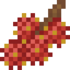 Rambutan