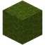 Wickered Green Wool