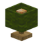 Green Lamp