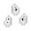 Rock Crystal Seeds