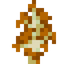 Orange Birch Sapling