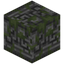 Runic Carved Mossy Cobblestone