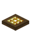Golden Barred Spruce Trapdoor