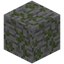 Eroded Mossy Cobblestone
