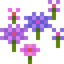 Wildflower