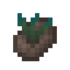 Ancient Seed