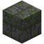 Cracked Mossy Stone Bricks Bricks