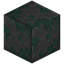 Heavy Mossy Stone Bricks