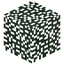 Swamp Gum Leaves