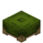 Green Stool