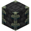 Reinforced Deepslate