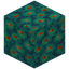Eyed Warped Wart Block