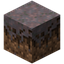 Mycelium