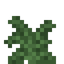 Large Fern