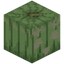 Spring Green Jack o'Lantern