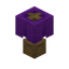 Purple Lamp