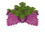 Spore Blossom